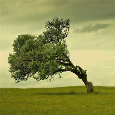 安博体育的最新版本手机app下载