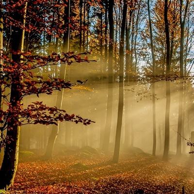 168极速赛车平台