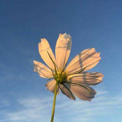 kdpay钱包下载安卓版截图