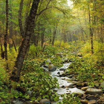 亚博棋牌下载手机版