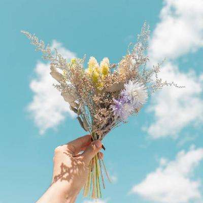 半岛手机网页版