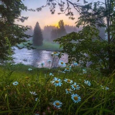 天下彩网站截图