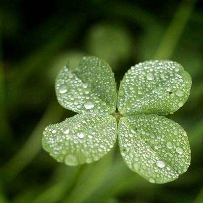 天下彩网站截图