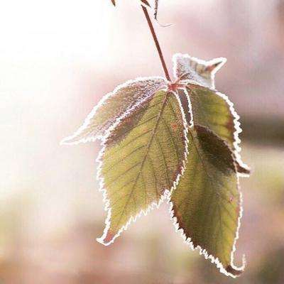 澳门金沙扫码下载截图