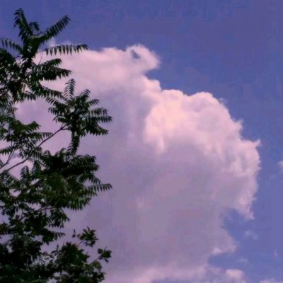 爱游戏app下载手机版截图